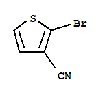2-溴噻吩-3-腈