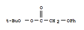 叔-丁基 1,2,3,4-四氢异喹啉-7-基氨基甲酸酯