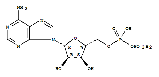 腺苷5-二磷酸