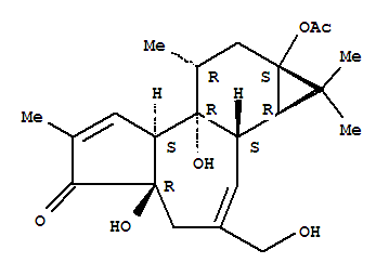 13-O-乙酰基-12-脱氧佛波醇