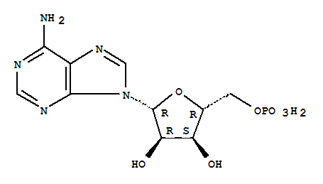 5''-一磷酸腺苷