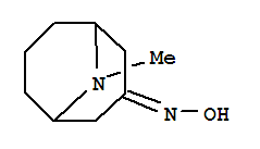高托品酮肟; 9-甲基-9-氮杂双环[3.3.1]壬烷-3-酮肟