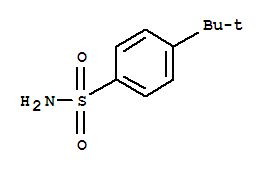 4-叔丁基苯磺酰胺 499933