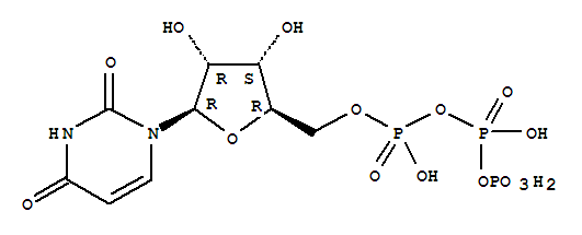 尿苷5'-三磷酸酯
