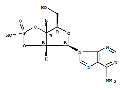 腺苷-2,3-环磷酸