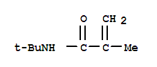 N-叔丁基甲基酰胺
