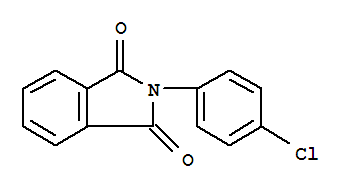 N-(4-氯苯基)酞亚酸