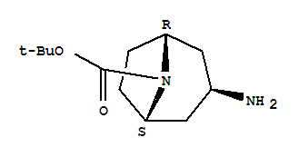 N-Boc-exo-3-氨基托烷; (3-exo)-3-氨基-8-氮杂双环[3.2.1]辛烷-8-甲酸叔丁酯