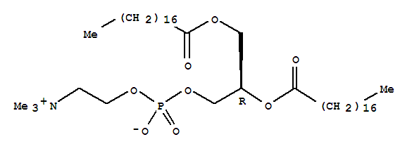 L-α-二硬脂酰磷脂酰胆碱