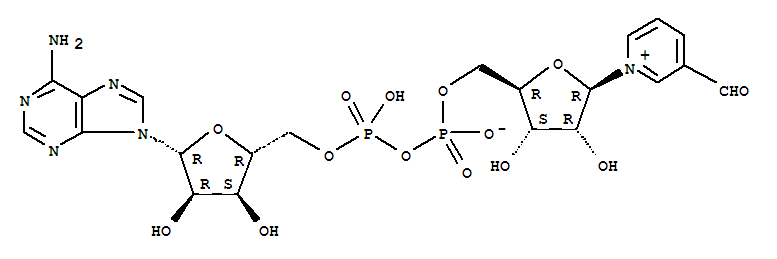 3-吡啶乙醛腺嘌呤二核苷酸