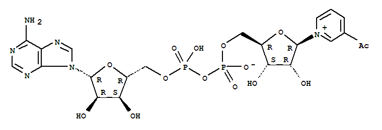 3-乙酰吡啶腺嘌呤二核苷酸 402929