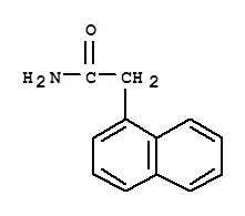 1-萘乙酰胺 381405