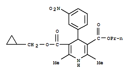 环丙基甲基丙基2,6-二甲基-4-(3-硝基苯基)-1,4-二氢-3,5-吡啶二羧酸酯