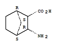 3-外双环氨基[2.2.1]庚烷-2-外羧基酸