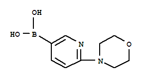 6-吗啉基吡啶-3-硼酸