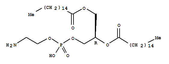 DPPE，二棕榈酰基磷脂酰乙醇胺