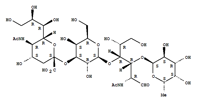 唾液酸化酶X