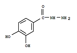 3,4-二羟基苯甲酰肼