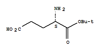 L-谷氨酸1-叔丁酯