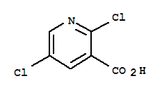2,5-二氯烟酸