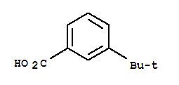 3 - 叔丁基苯甲酸