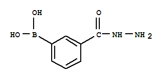 3-(肼基羰基)苯硼酸