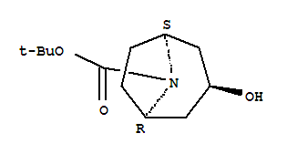 3-羟基-8-氮杂双环[3.2.1]辛烷-8-甲酸叔丁酯