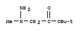 N-氨基-N-甲基甘氨酸叔丁酯