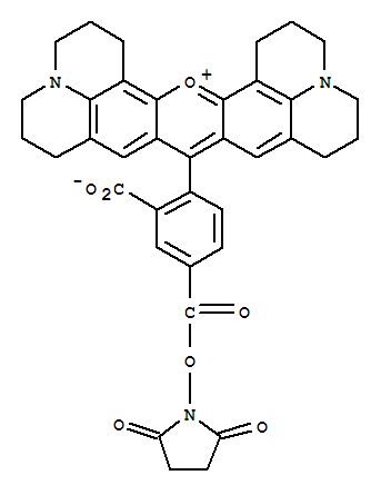 5-羧基-X-罗丹明琥珀酰亚酯 335831