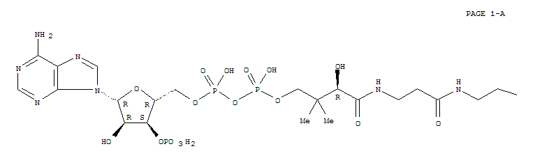 辅酶 A S-丁酸酯