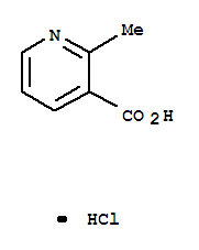 2-甲基烟酸盐酸盐