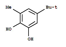 5-叔丁基-3-甲基-1,2-苯二酚