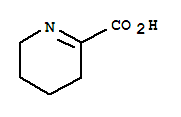 3,4,5,6-四氢吡啶-2-羧酸