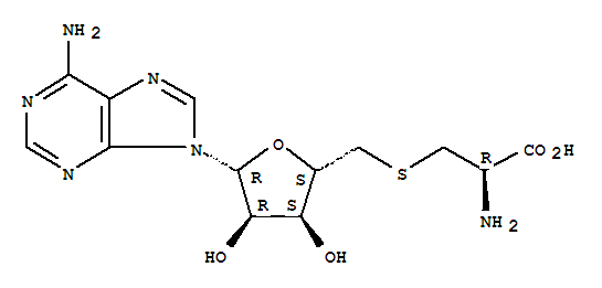 S-腺苷-L-半胱氨酸