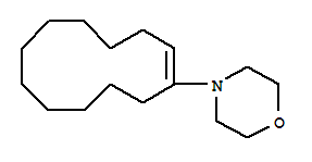 1-吗啉-1-环十二烷烯