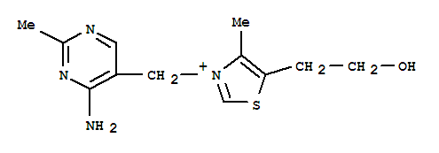 硫胺素