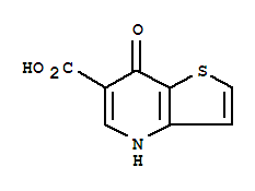 7-氧代-4,7-二氢-噻吩并[3,2-B]吡啶-6-羧酸