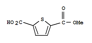 5-羧酸-2-噻吩甲酸甲酯