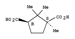 (1S,3R)-(-)-樟脑酸
