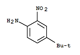 2-硝基-4-叔丁基苯胺