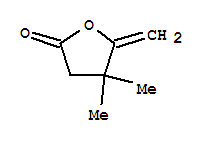 2-亚甲基-3,3-二甲基环丁酯