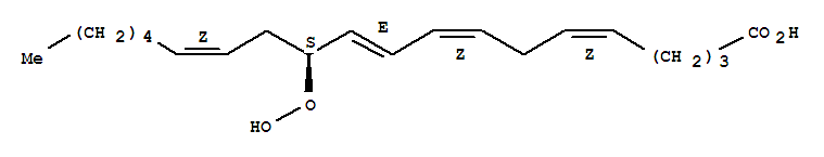 12(S)-hydroperoxy-5(Z),8(Z),10(E),14(Z)-eicosatetraenoic acid