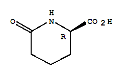 D-6-氧代哌啶-2-甲酸