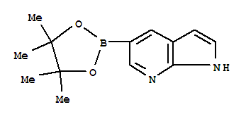 7-氮杂吲哚-5-硼酸频哪醇酯 796119