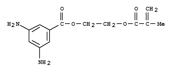 2-(甲基丙烯酸)乙酯3,5-二氨基苯甲酸
