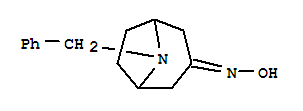8-benzyl-3-hydroxyimino-8-AZA-BICYCLO[3.2.1]OCTANE