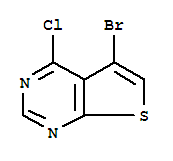5-溴-4-氯噻吩并[2,3-d]嘧啶