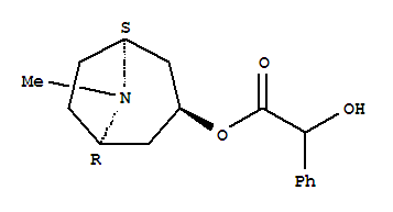 后马托品; 苯基羟乙酰托品碱; 8-甲基-8-氮杂双环[3.2.1]辛烷-3-醇羟基(苯基)乙酸酯