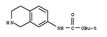 1,2,3,4-四氢异喹啉-7-氨基甲酸叔丁酯
