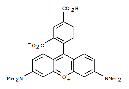 5-羧基四甲基罗丹明（单一化合物）